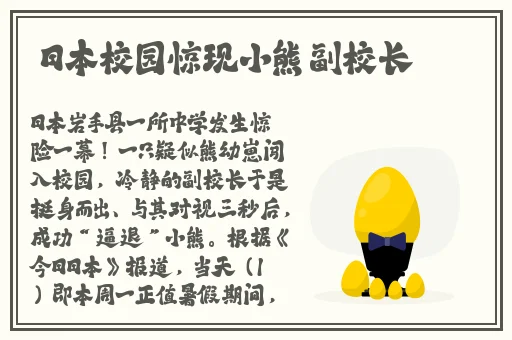 小猪视频在线观看下载免费